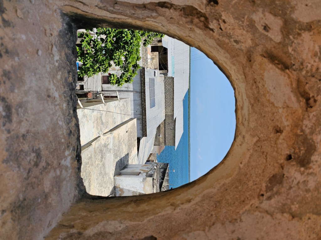 Windows